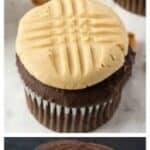 Chocolate Cupcake Recipe
