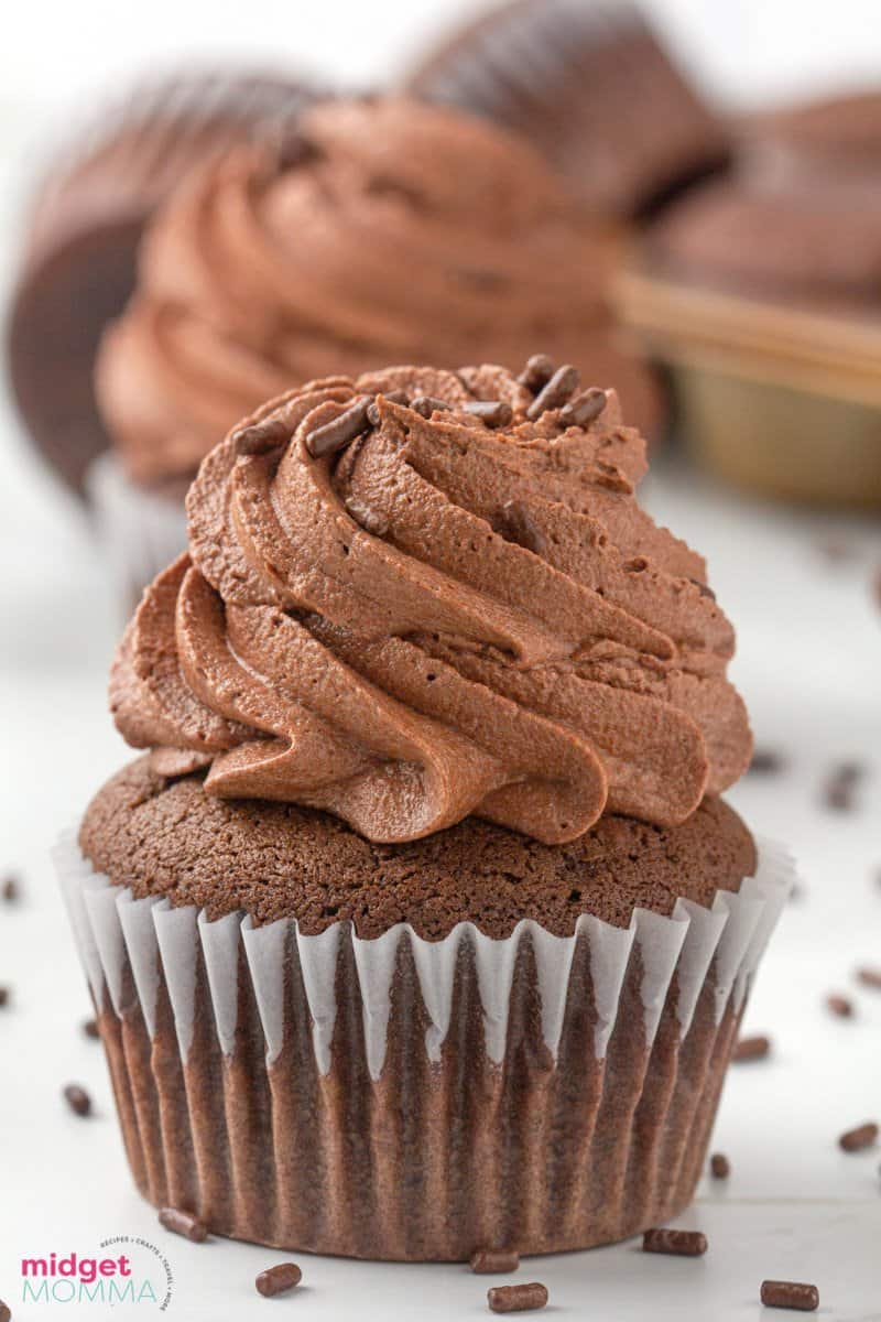 chocolate cupcakes