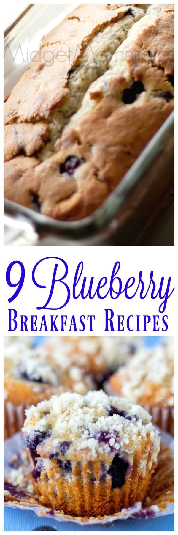 9 Blueberry Breakfast Recipes • MidgetMomma