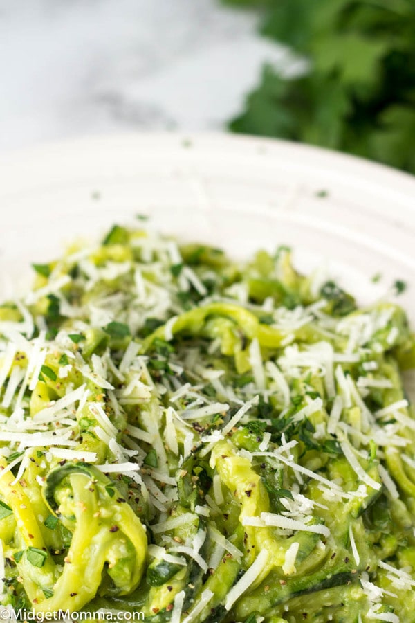 Creamy Roasted Garlic Avocado Sauce {Keto Friendly}