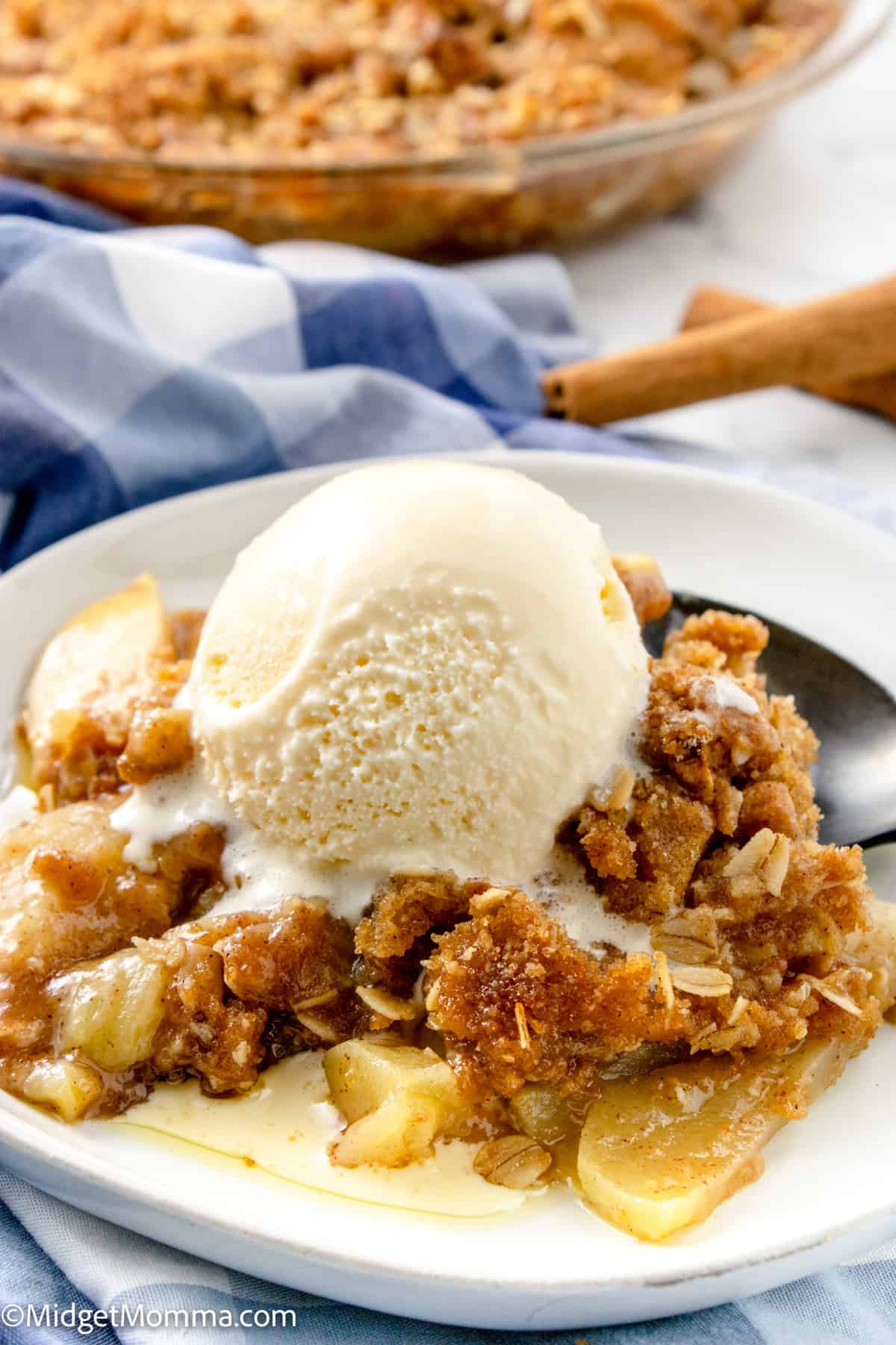 Old Fashioned Easy Apple Crisp - The Chunky Chef