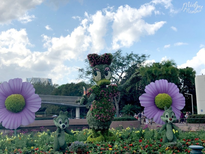 Daisy Duck flowers at the Epcot Flower and Garden Festival with purple flowers 