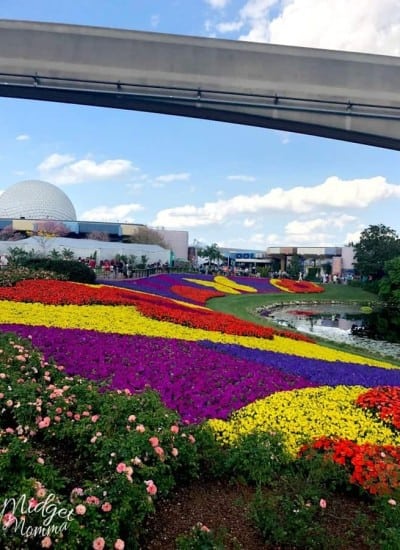 Navigating Disney's Flower And Garden Festival