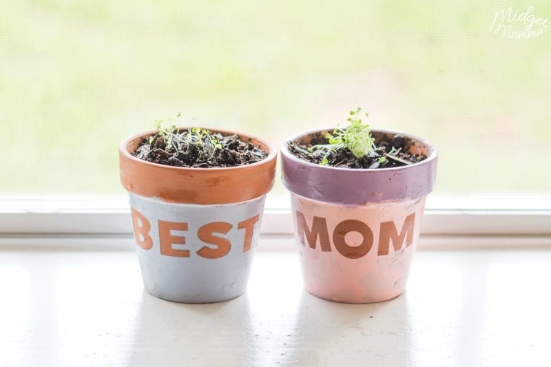 Mother's Day Flower Pot Craft