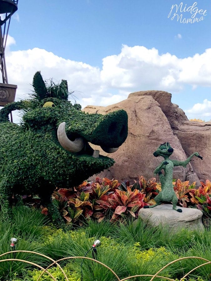 Simon and Pumba flowers at Epcot Flower and Garden Festival