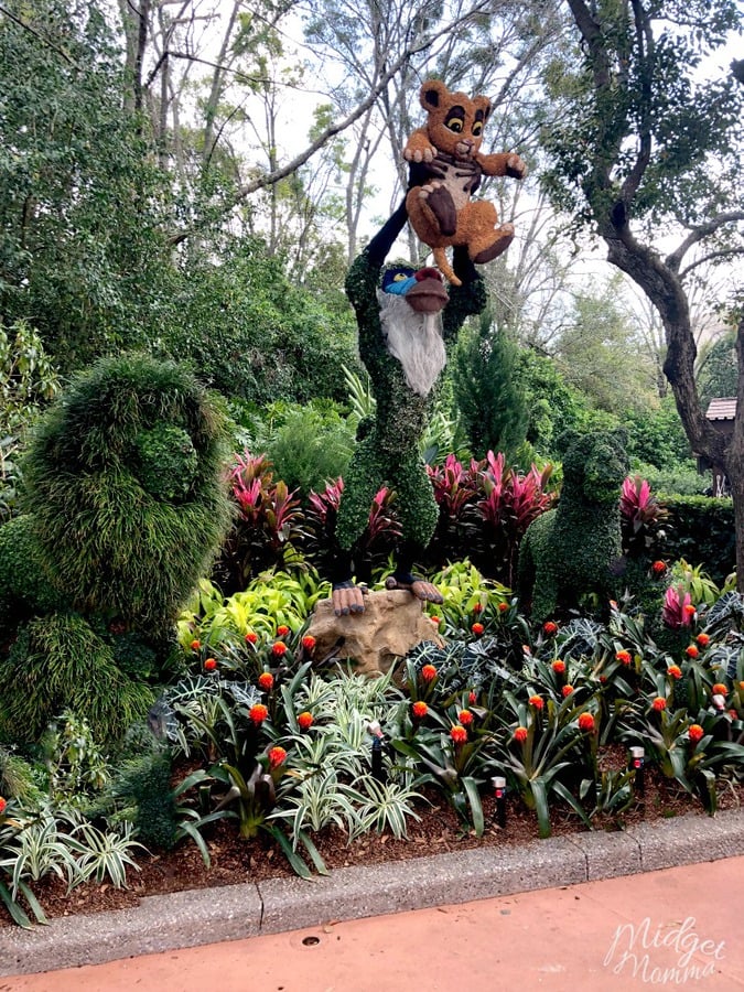 Simba Flowers at Epcot