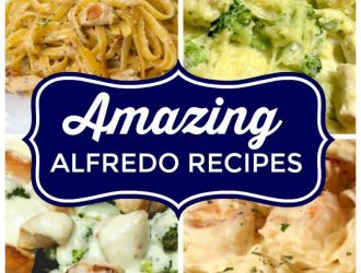 If you are looking for amazing alfredo recipes then look no further. These simple Alfredo Recipes include alfredo pasta recipes, spaghetti squash alfredo recipes, and more! #Alfredo #Pasta #Sauce #SpaghettiSquash #Chicken #Shrimp