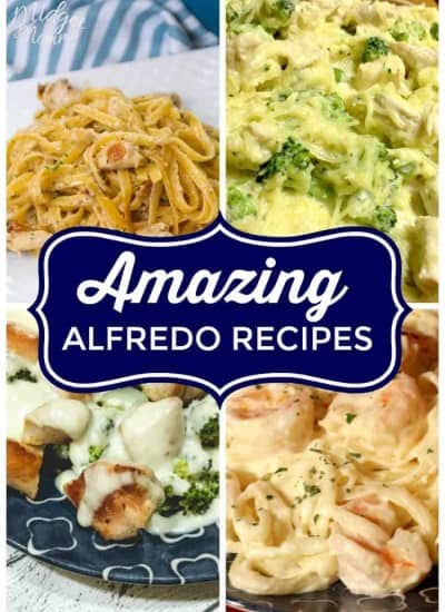 If you are looking for amazing alfredo recipes then look no further. These simple Alfredo Recipes include alfredo pasta recipes, spaghetti squash alfredo recipes, and more! #Alfredo #Pasta #Sauce #SpaghettiSquash #Chicken #Shrimp