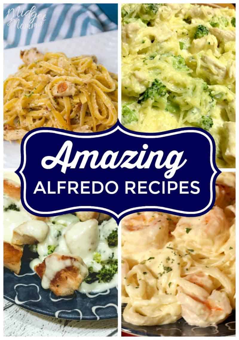 If you are looking for amazing alfredo recipes then look no further. These simple Alfredo Recipes include alfredo pasta recipes, spaghetti squash alfredo recipes, and more! #Alfredo #Pasta #Sauce #SpaghettiSquash #Chicken #Shrimp