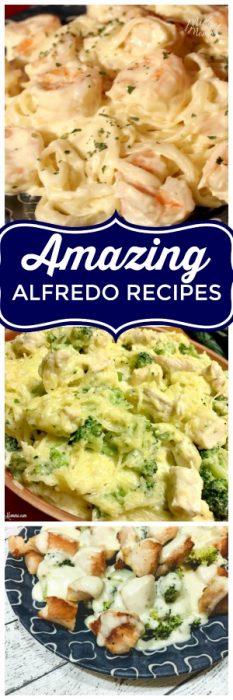 If you are looking for amazing alfredo recipes then look no further. These simple Alfredo Recipes include alfredo pasta recipes, spaghetti squash alfredo recipes, and more! #Alfredo #Pasta #Sauce #SpaghettiSquash #Chicken #Shrimp