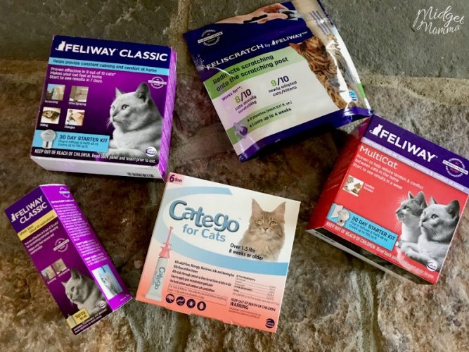 How to Prep Your Home when Getting a Kitten + Checklist Printable