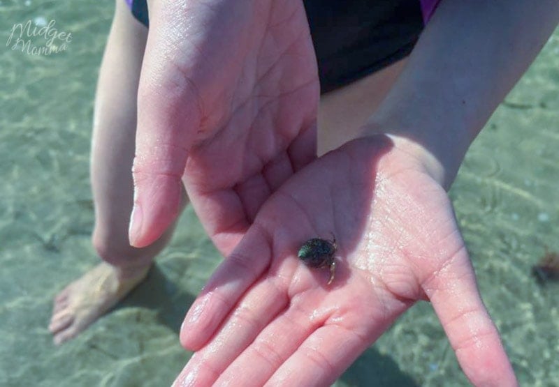 nj beach for kids