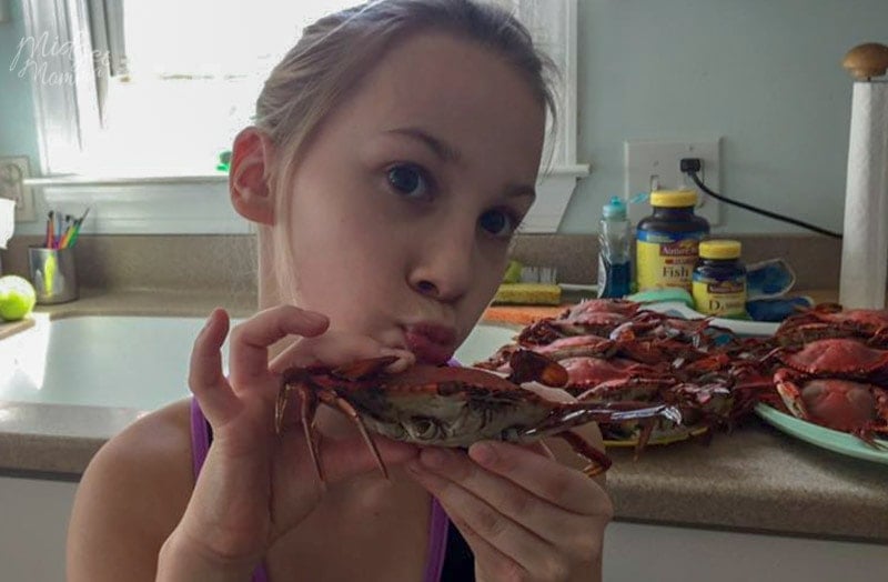 fresh crabs in new jersey beaches