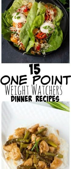 One point weight watchers dinner recipes #WeightWatchers #Dinner #WeightWatchersRecipes