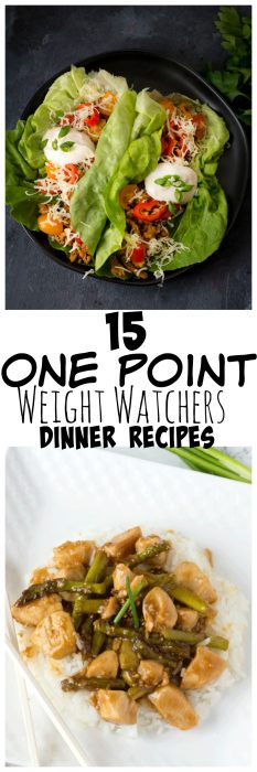 15 One Point Weight Watchers Dinner Recipes • MidgetMomma