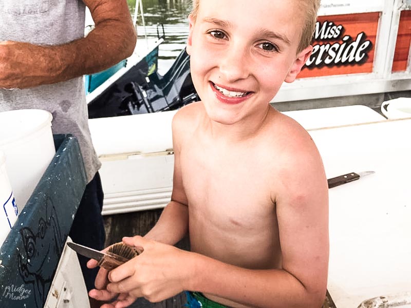 scalloping in Crystal River Florida