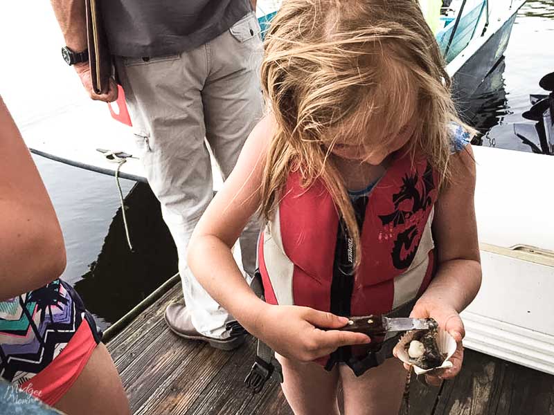 scalloping in Crystal River Florida