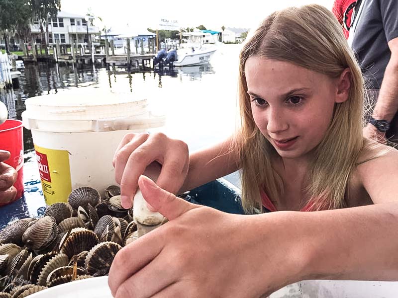 scalloping in Crystal River Florida