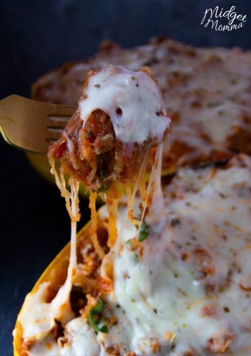 spaghetti squash ground beef lasagna