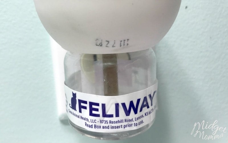 Feliway diffuser