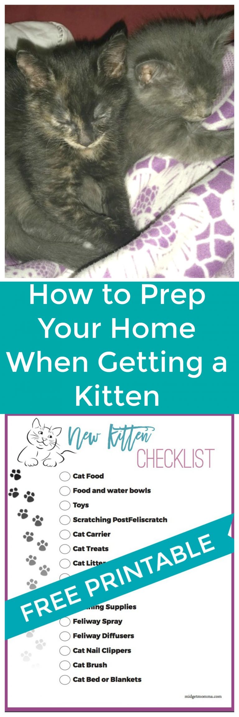 How to Prep Your Home when Getting a Kitten + Checklist Printable