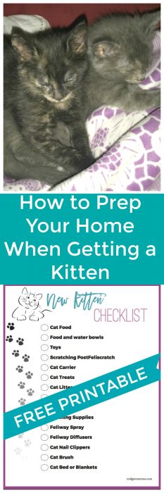 Check list for getting a new cat. Printable check list for new kittens with everything you need to get for a new kitten. #Kitten #Cat #Printable #NewKitten #NewCat #CatNeeds #KidsPrintable