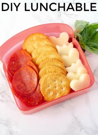 diy lunchable in lunch box