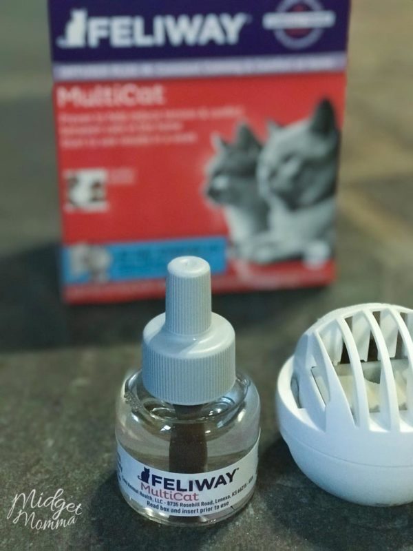 How to Have Happy Cats in a MultiCat Household • MidgetMomma