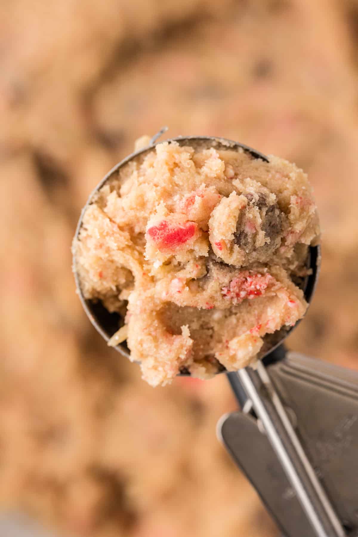 A spoon full of peppermint chocolate chip cookie dough.