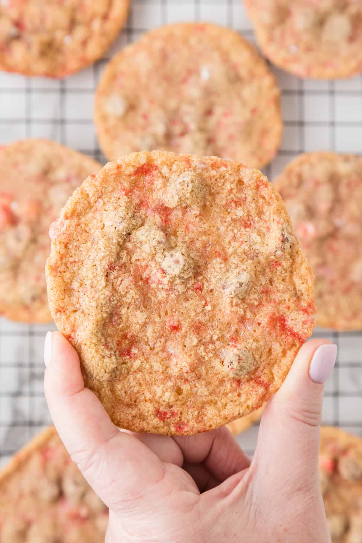 A person holding up a cookie on a cooling rack.