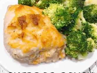 This Cheddar Ranch Chicken is a quick baked chicken recipe that is done in about 30 minutes. Make some veggies or a fresh salad to go along with your Cheddar Ranch Chicken and dinner is done!