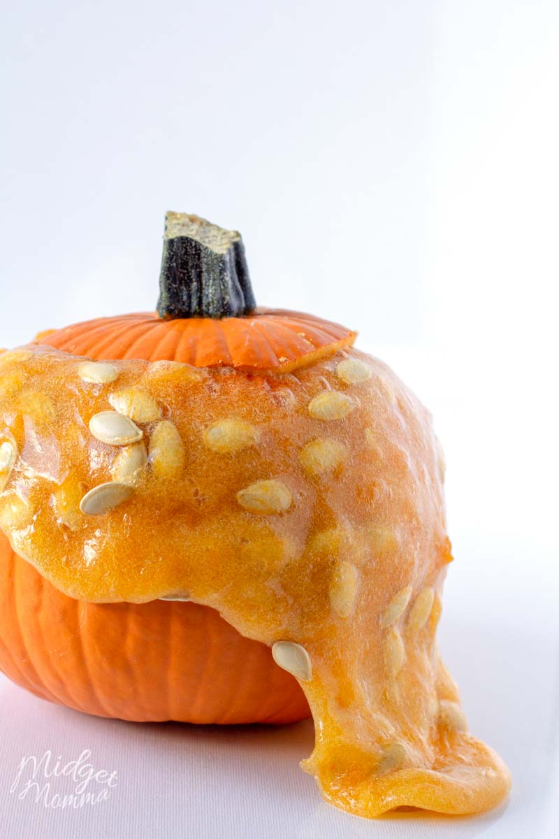 pumpkin slime using a real pumpkin 