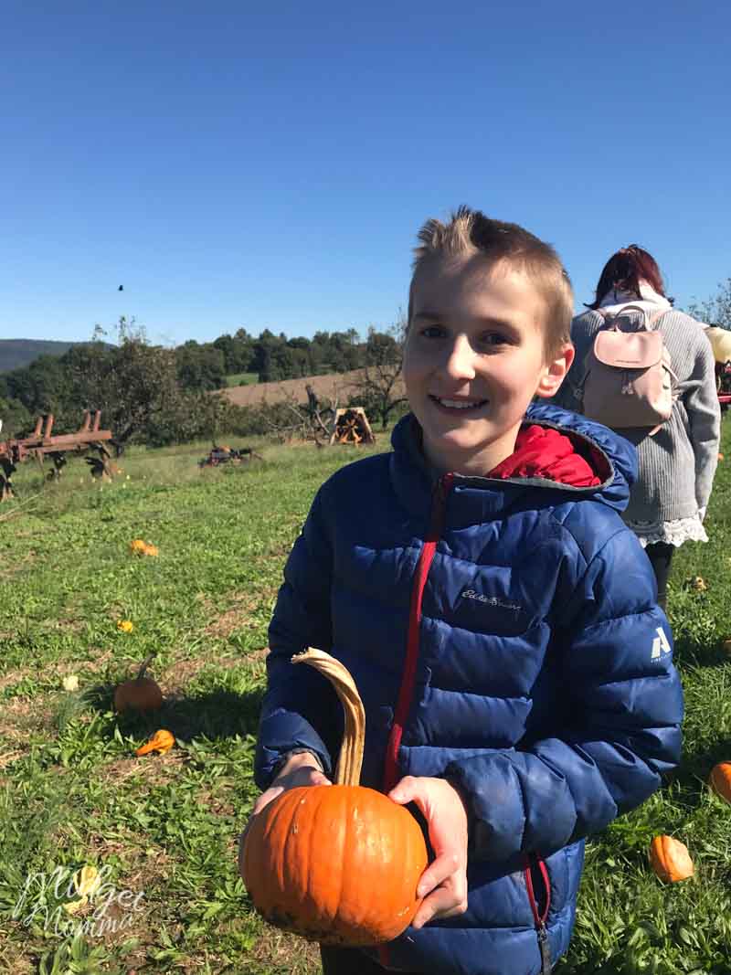 boy holding pumpkin in a pumpkin patch