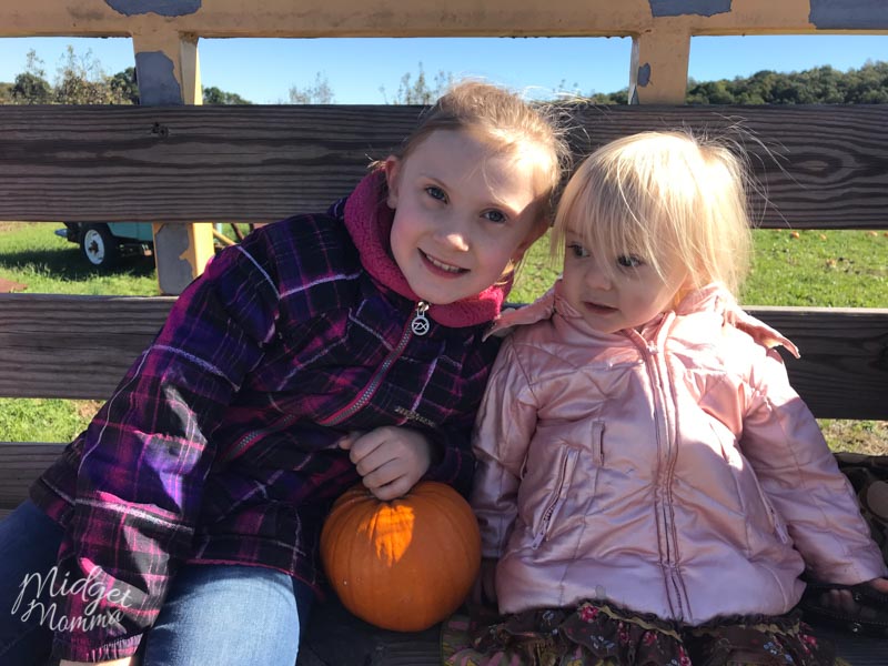 Kids at a pumpkin patch getting pumpkins to use when making pumpkin slime