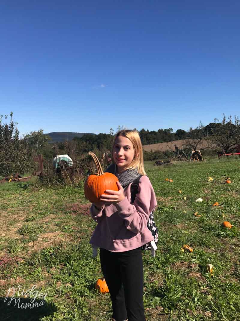 girl holding pumpkin in a pumpkin patch