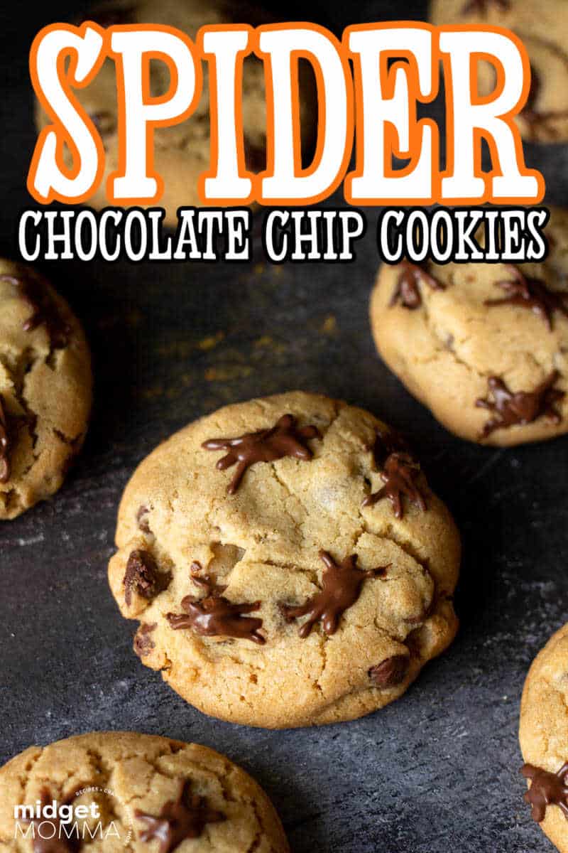 Halloween Spider Chocolate Chip Cookies • MidgetMomma