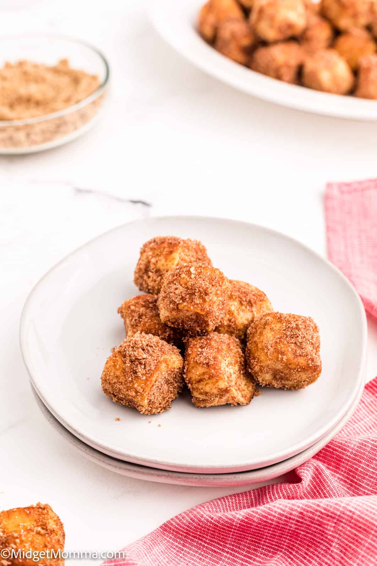 Cinnamon Sugar Pretzel Bites