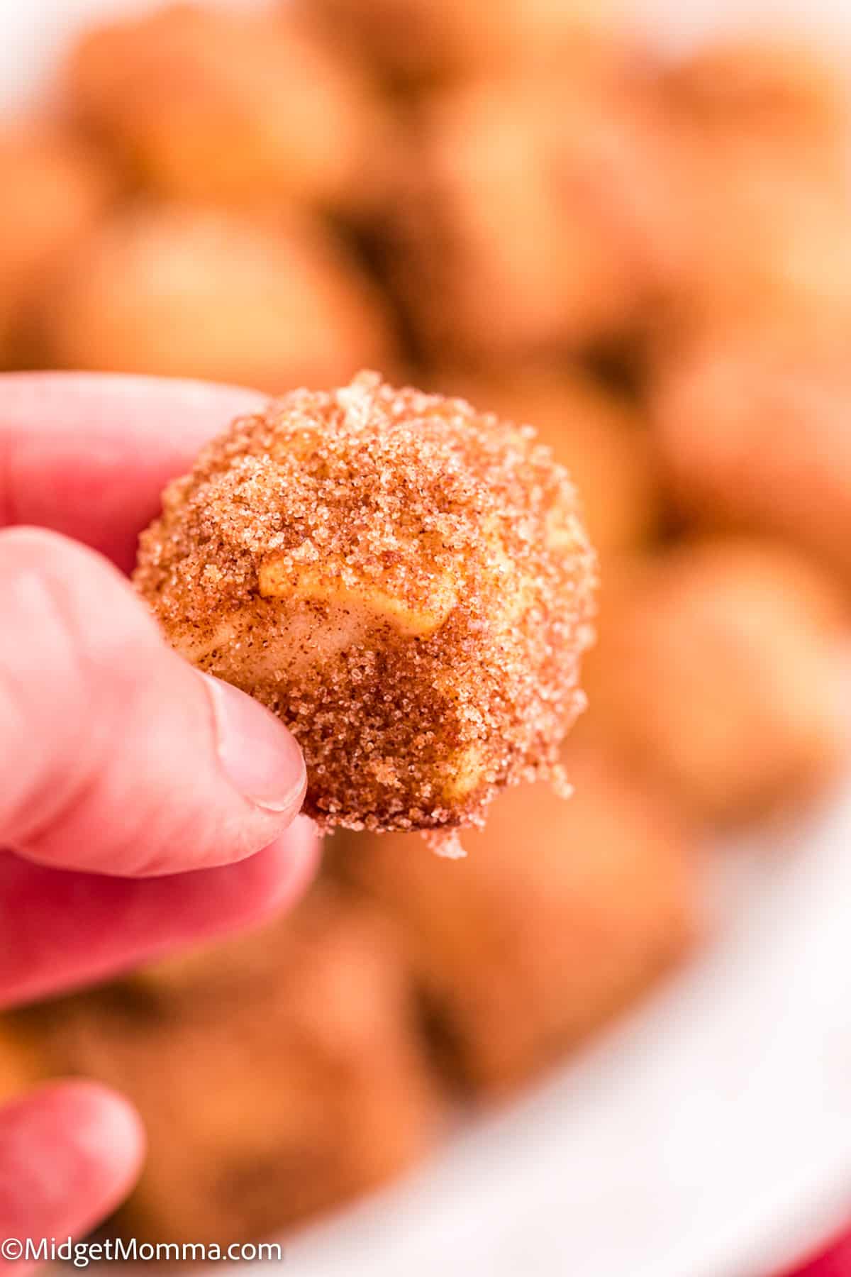 Cinnamon Sugar Pretzel Bites