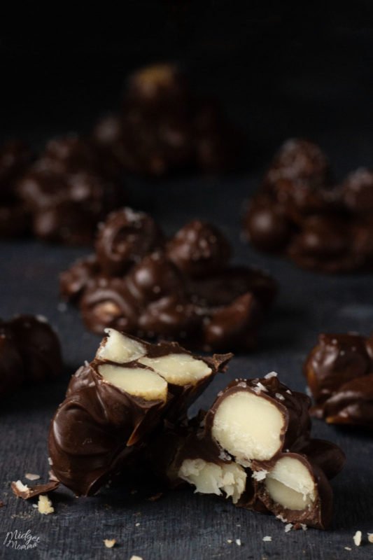 Chocolate Macadamia Nut Clusters (Low Carb and Keto Friendly!)