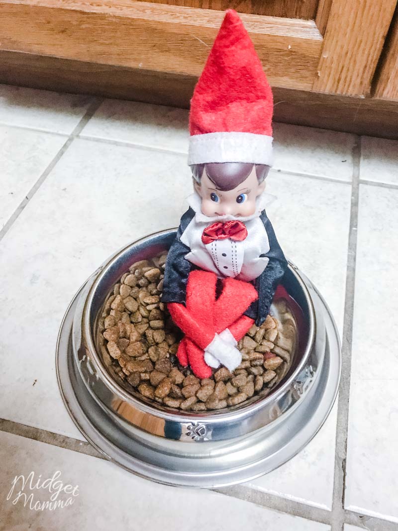 Elf on the shelf Ideas for Toddlers - Elf on the shelf plays in the pet food