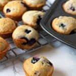 Mini blueberry muffins