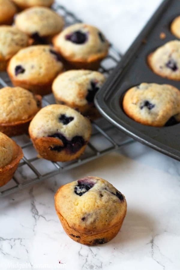 Mini blueberry muffins