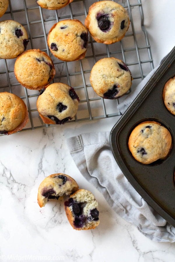 Mini Blueberry Muffins on a cooling rack