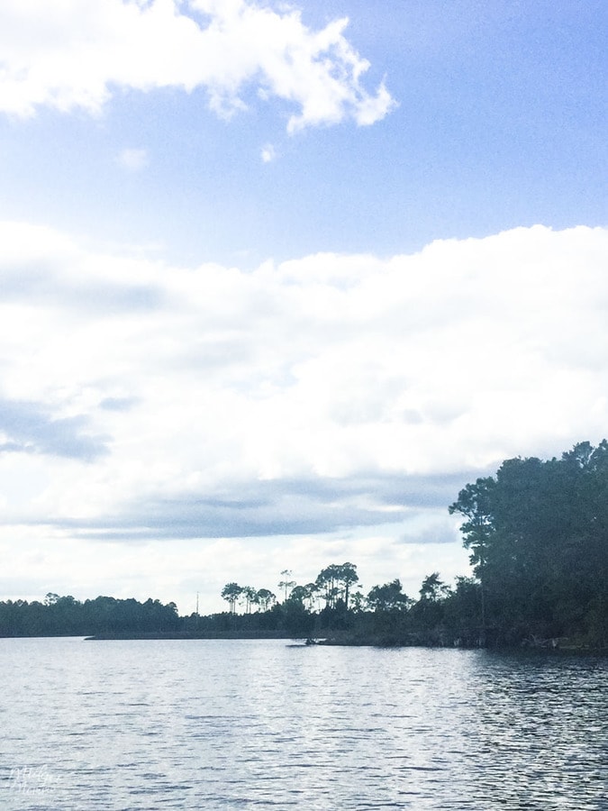 airboat tour panama city beach