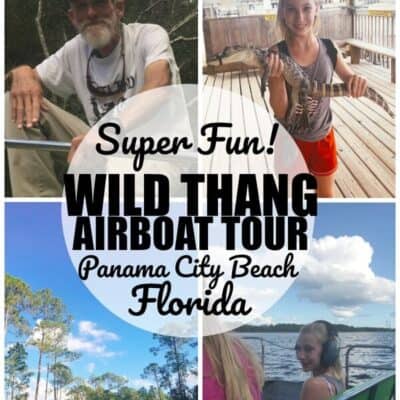 Airboat Tour in Florida with Wild Thang Airboat tour in panama city beach florida