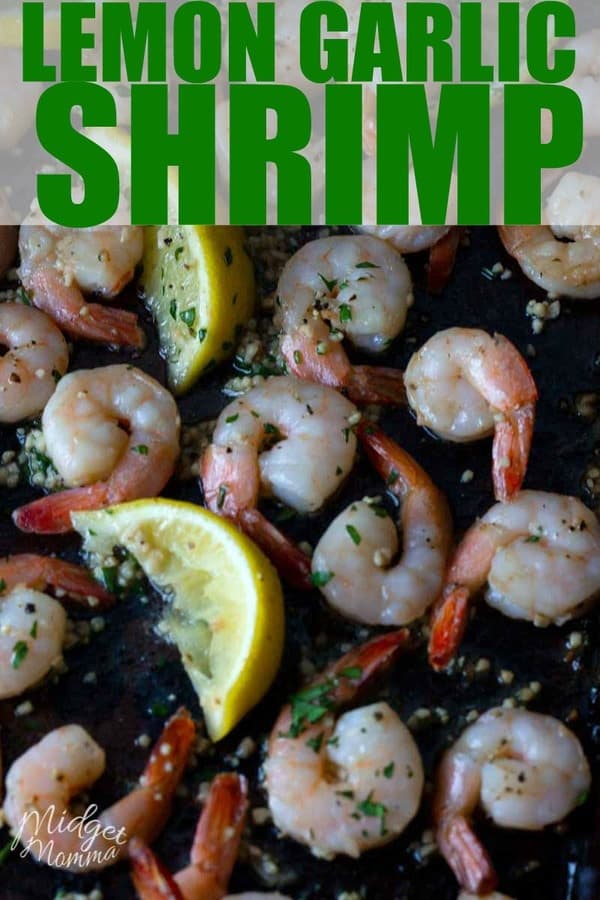 Lemon Garlic Shrimp. This quick and easy baked Lemon Garlic Shrimp recipe is the perfect easy dinner recipe. Just a few minutes of prep and a few minutes of cooking and dinner is done! #Shrimp #keto #lowcarb #BakedShrimp #EasyShrimp #Lemon #Garlic