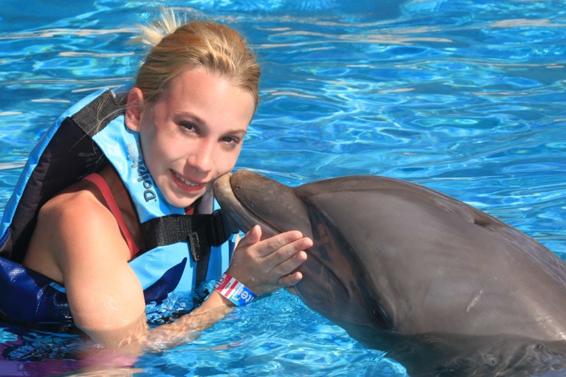 swim with dolphins panama city beach