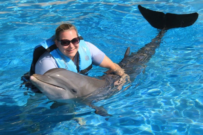 swim with dolphins panama city beach
