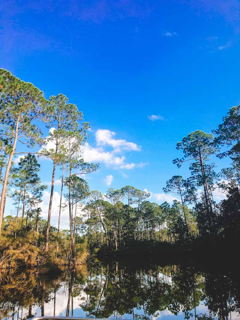 airboat tour panama city beach