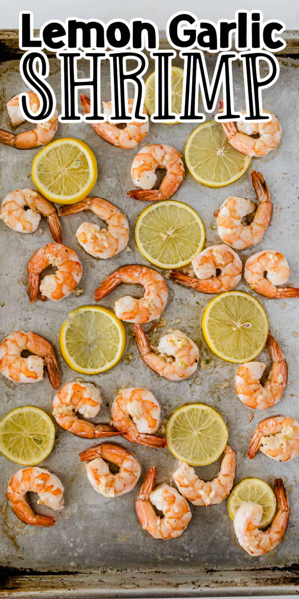Baked Lemon Garlic Shrimp Recipe • MidgetMomma